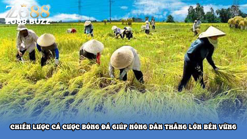 Chiến lược cá cược bóng đá giúp nông dân thắng lớn bền vững