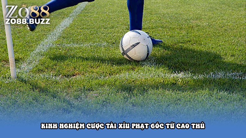 Kinh nghiệm cược tài xỉu phạt góc từ cao thủ