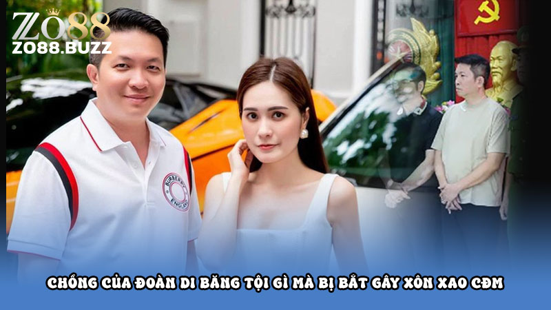 Chồng của Đoàn Di Băng tội gì mà bị bắt gây xôn xao CĐM