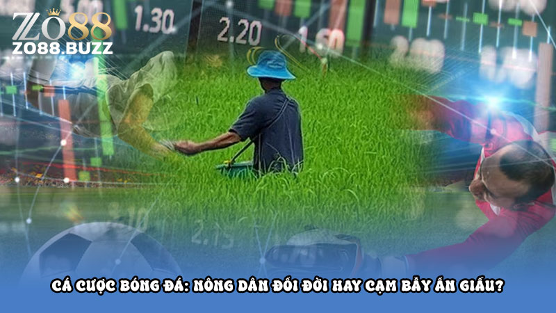 Cá Cược Bóng Đá: Nông Dân Đổi Đời Hay Cạm Bẫy Ẩn Giấu?