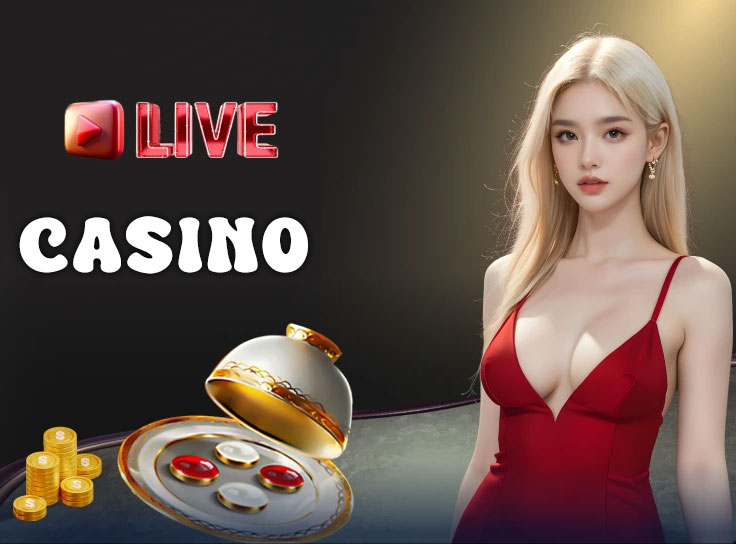 zo88 live casino